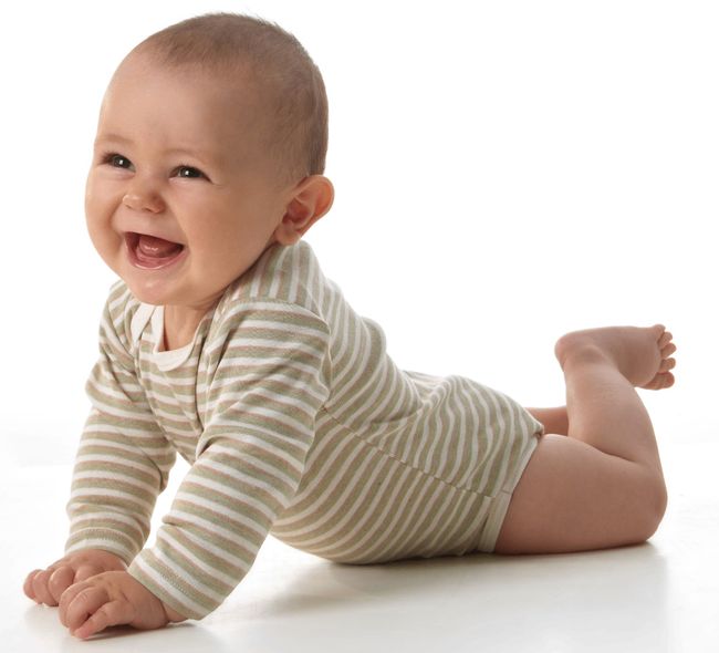 Body Langarm Bunter Ringel